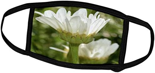 3дроза Патриша Сандерс Цвеќиња-Убавина На Маргаритка-Покривки За Лице