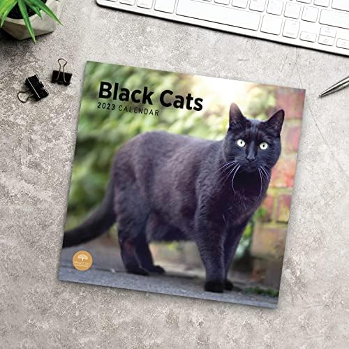 2023 Ѕид Календар На Црни Мачки По Светлиот Ден, 12х12 Инчи, Симпатична Симпатична Фотографија На Мачиња За Миленичиња