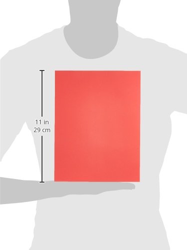 Точна хартија за копирање во боја, 8-1/2 x 11 инчи, 20 lb, светло црвено, пакет од 500 - 87298