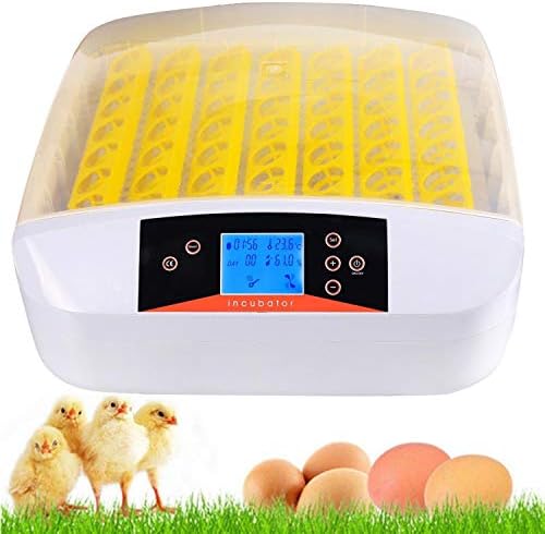 АЛРЕМО 103234536 56 Дигитални Јајца Инкубатор Хачер Влажност Контрола На Температурата Автоматско Вртење Јајце За Кокошки Патки Птици Семејна Употреба