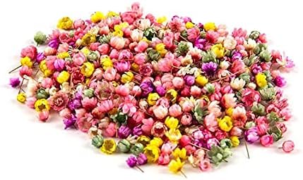Aoliao 140 парчиња природни сушени цвеќиња вистински притиснати цвеќиња на маргаритки за DIY занаети смола од свеќа за леење накит украси во боја