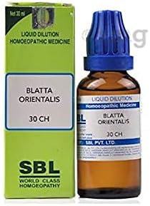 SBL Blatta Orientalis разредување 30 ch