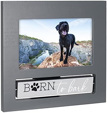 Меѓународни дизајни на Малден 4x6 изрази на флипит на кучиња сива рамка за слика, 3592-46