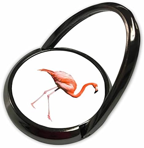 3Drose Wild Flamingo Awatchoror Safting - Телефонски ringsвони