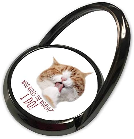 3drose Alexis Design - Смешни мачки - мачката од ѓумбир ја лиже својата шепа. Кој владее со светот. Да. Смешен подарок - телефонски прстен