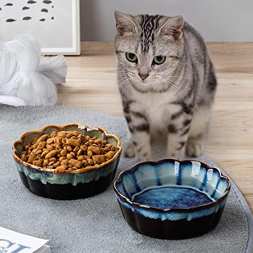 Siducal керамички чинии за мачки, 5 инчни чинии за мачки за храна и вода, чинија што не се лизгаат со миленичиња за миленичиња за мачки и мали кучиња, убави застаклени, ми