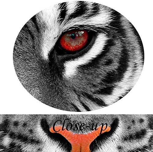 Kreative Arts Големи 3 парчиња платно отпечатоци wallидни уметности црвени очи тигар постер печатено на платно животни слики сликање giclee уметнички дела врамени за канцела?