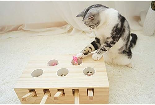 Играчка играчка со мачка со мачка, дрвена загатка, интерактивен глушец солидни играчки за вежбање-мол