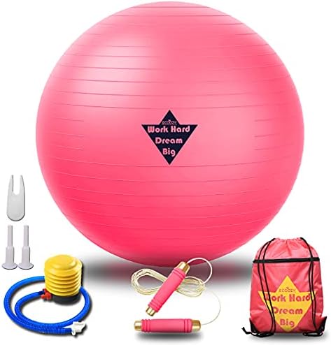 Вежба топка со поставени бендови за плен - топка за раѓање за бременост розова 65 см со основни лизгачи розово скокање јаже за вежби за тренингот за обука - торба