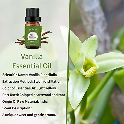 Есенцијално масло од ванила за дифузер органски ванила лаванда есенцијално масло сет лаванда масло чисти масла за ароматерапија - 2 парчиња x 10ml