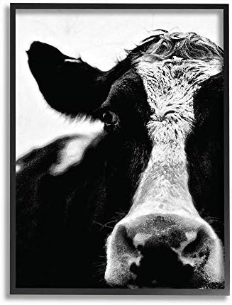 Колекцијата за украси „Ступел дома“ крава црно -бело затворено истегната платно wallидна уметност, разнобојно